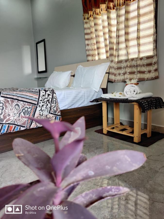 Lee Homestay Hampi Exterior photo